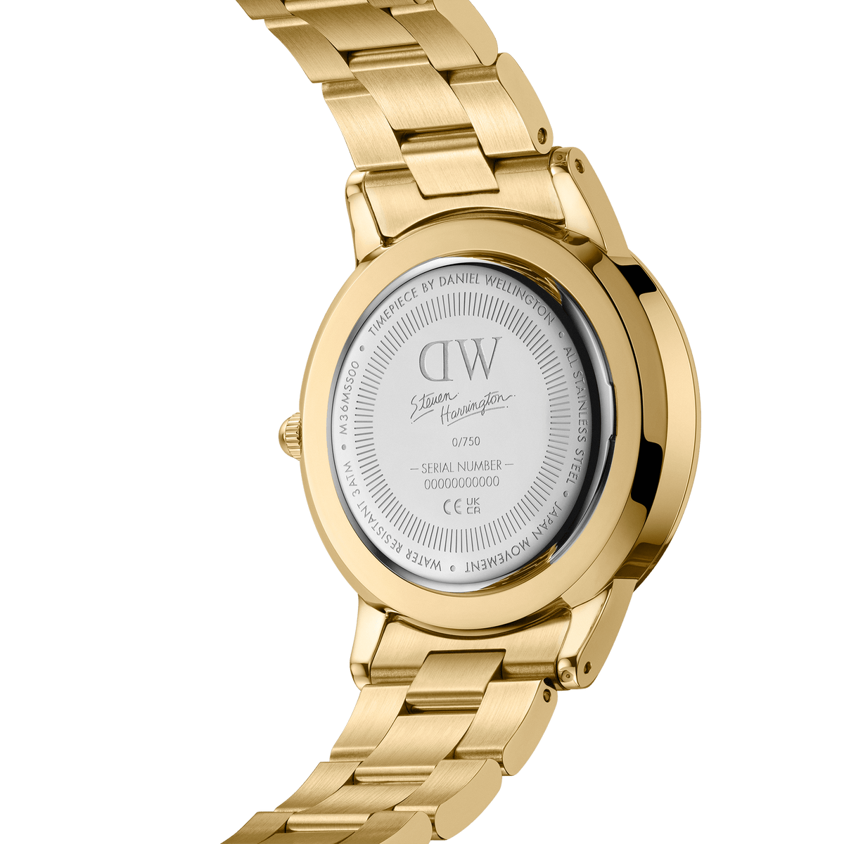 Steven Harrington x DW SET: Iconic Link Dual Tone Gold
