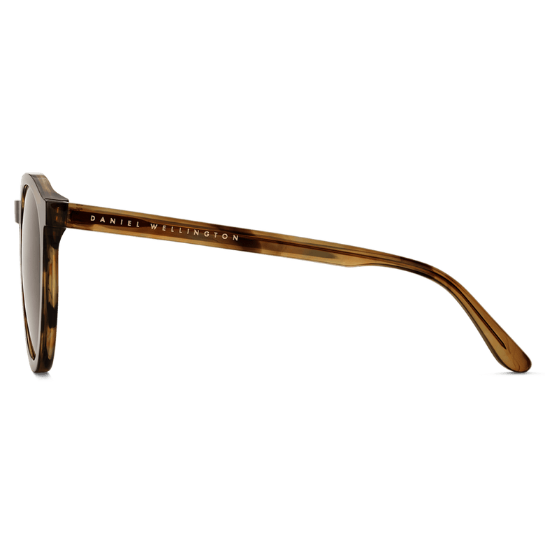 Side view of Bio-Acetate Arch Brown Demi sunglasses showing the brown demi frame, lightweight bio-acetate construction, and Daniel Wellington branding on the temple.