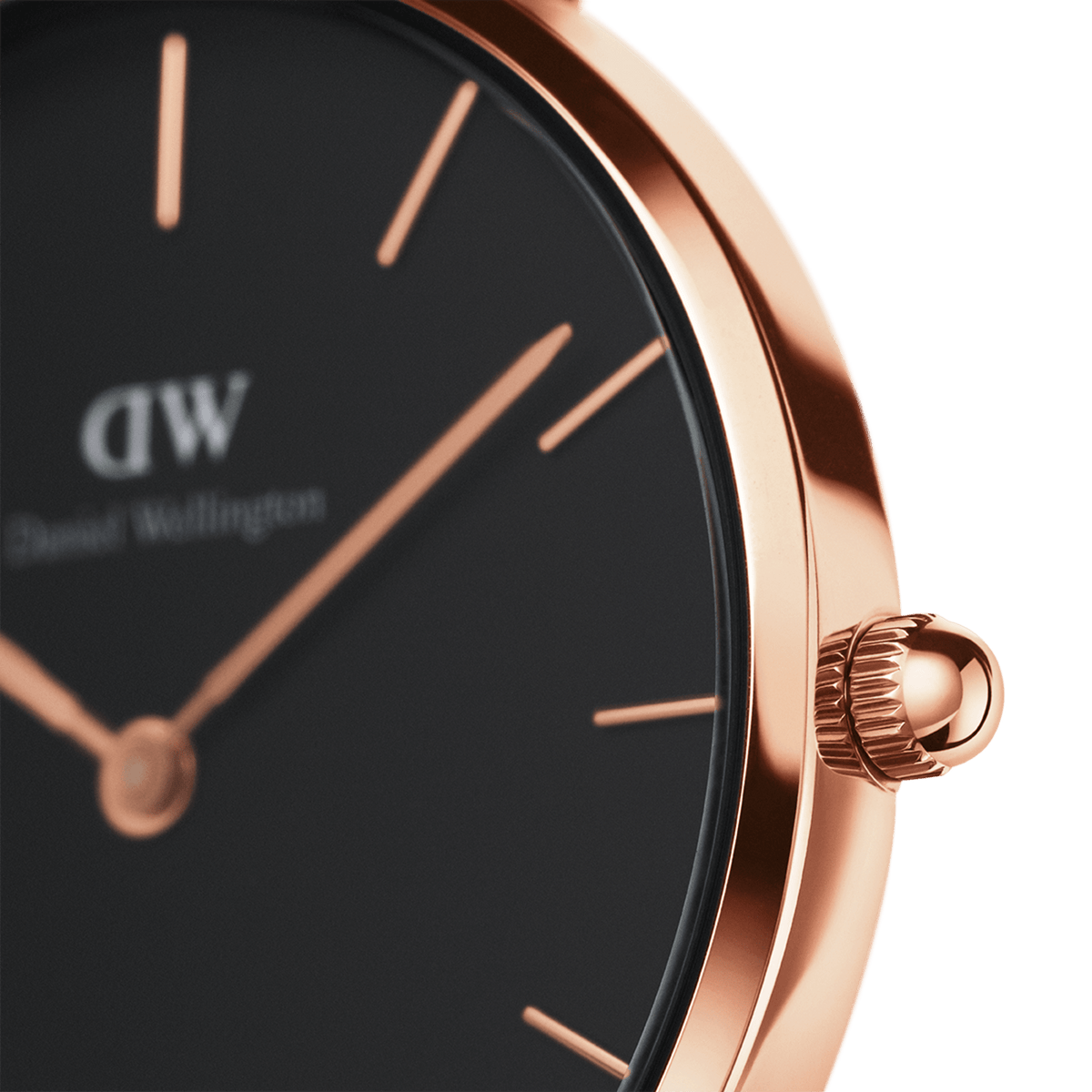 Petite Reading Black Rose Gold