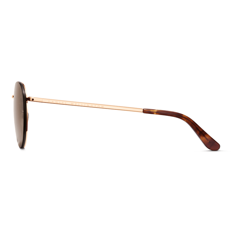 Side view of Arch Steel Brown Rose Gold sunglasses showing the slim rose gold plated stainless steel arm with Daniel Wellington branding and tortoiseshell acetate temple tip.