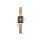 Quadro Mini Crystal Zodiac Evergold Set