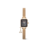 Quadro Mini Crystal Zodiac Evergold Set
