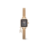 Quadro Mini Crystal Zodiac Evergold Set
