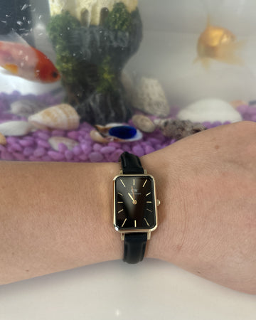 Photo from a customer review: 5 out of 5 stars, Georgia
