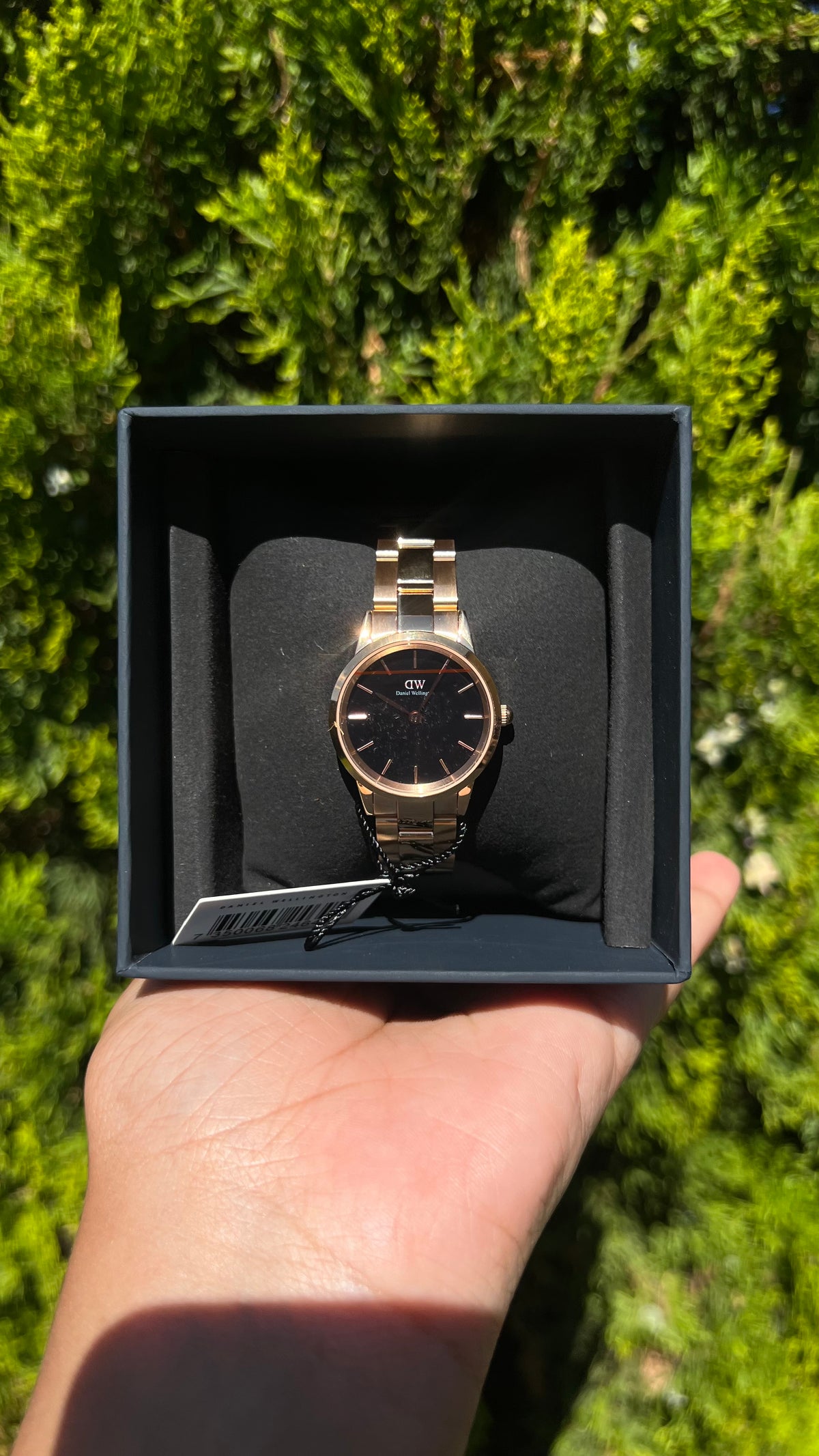 Photo from a customer review