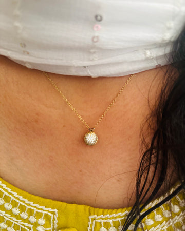 Photo from a customer review
