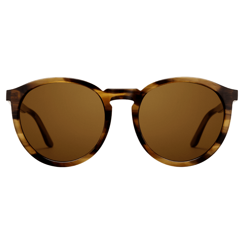 Bio-Acetate Arch Brown Demi sunglasses with a round brown demi frame and amber coloured lenses, featuring lightweight bio-acetate construction and subtle Daniel Wellington branding on the temples.