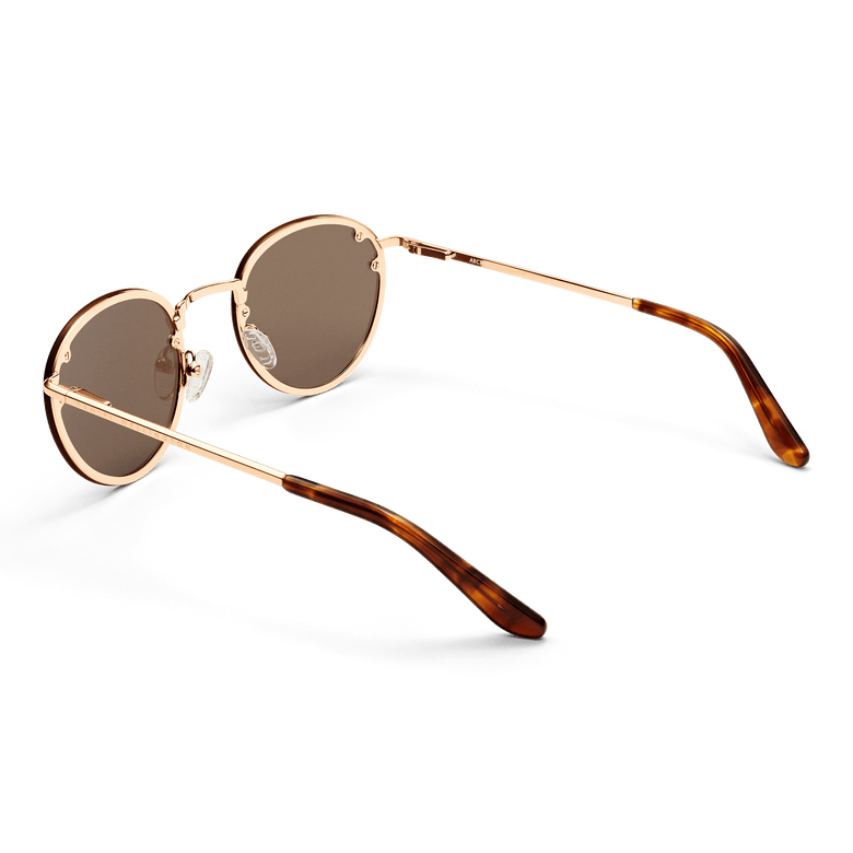 Arch Steel Brown Rose Gold sunglasses with round brown UV400 nylon lenses, rose gold plated stainless steel frame, and tortoiseshell acetate temple tips, shown from the back to highlight the slim arms and adjustable silicone nose pads.